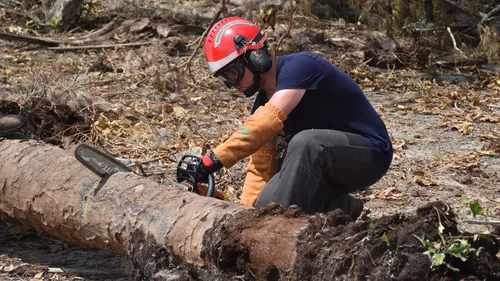 Nogent-le-Rotrou : la sécurité civile de retour de Madagascar 